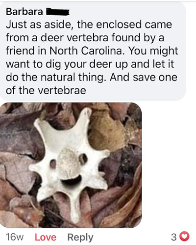 Barb's comment: Just as an aside, the enclosed came from a deer vertebra found by a friend in North Carolina. You might want to dig up your deer and let it do the natural thing. And save one of the vetebra. Image: a deer vertebra on dead leaves, with 7 protusions like an oblong symetrical star, two small round holes near the center on the side of a protusion, with a larger half-circle hole beneath the protrusion make it look like happy-face cartoon character